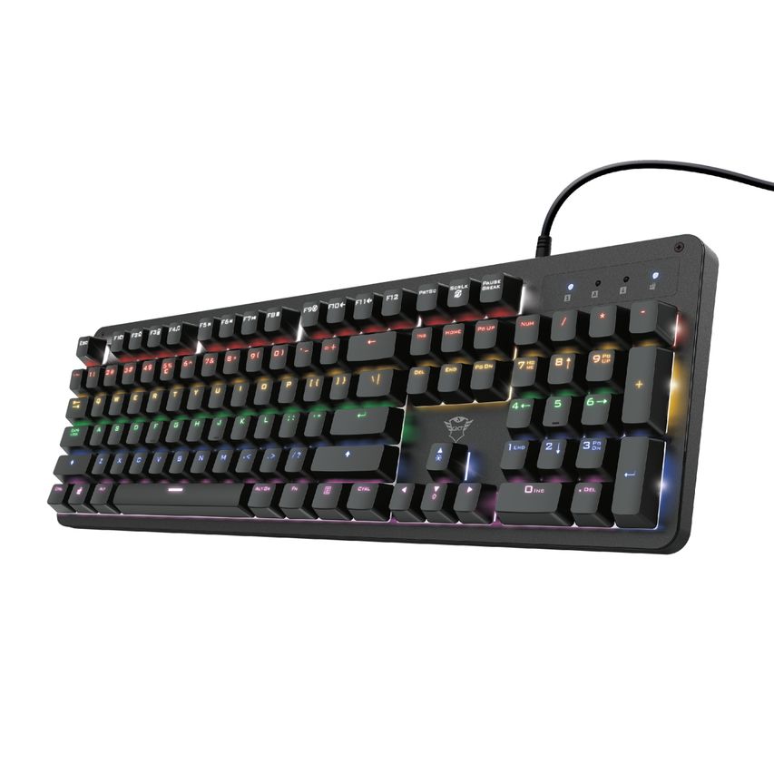 24203