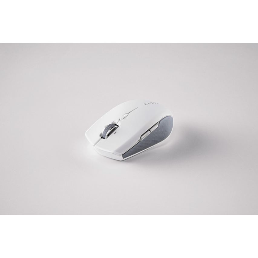 RZ01-03990100-R3G1