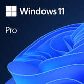 MICROSOFT WINDOWS 11 PRO X64  OEM ENGLISH 1PK(FQC-10528)