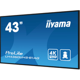 IIYAMA PROLITE   42.5" LED ELED 4K Ultra HD HDMI Altavoces