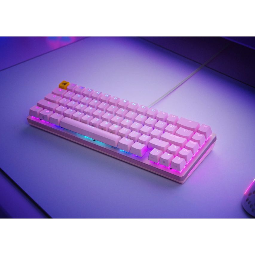 65-FOX-ISO-P-ES