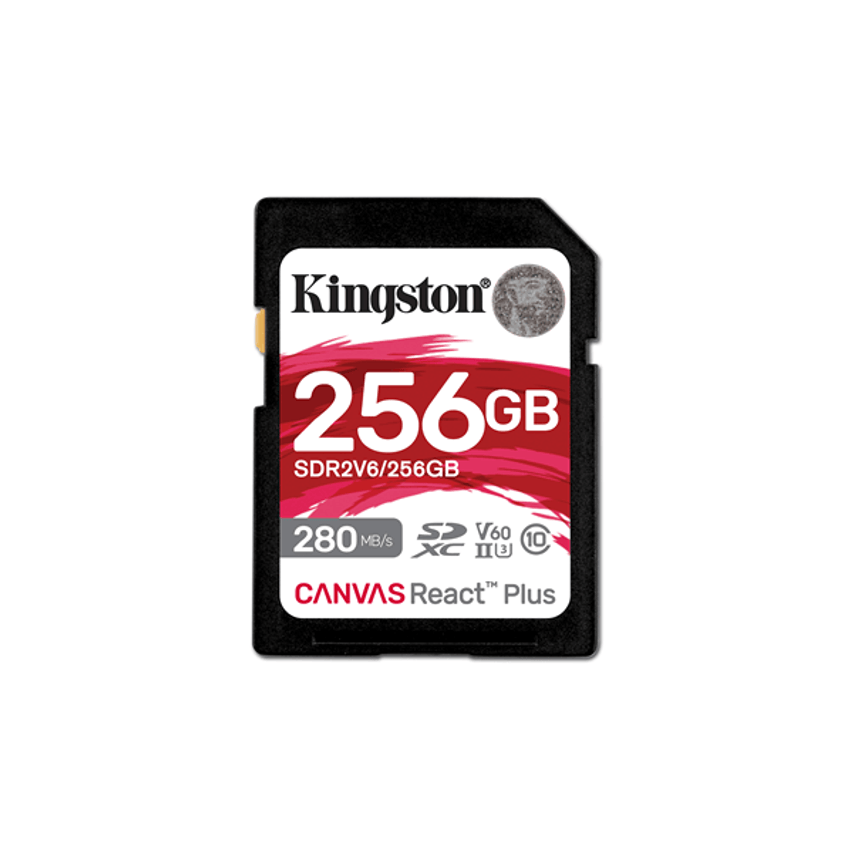 SDR2V6/256GB