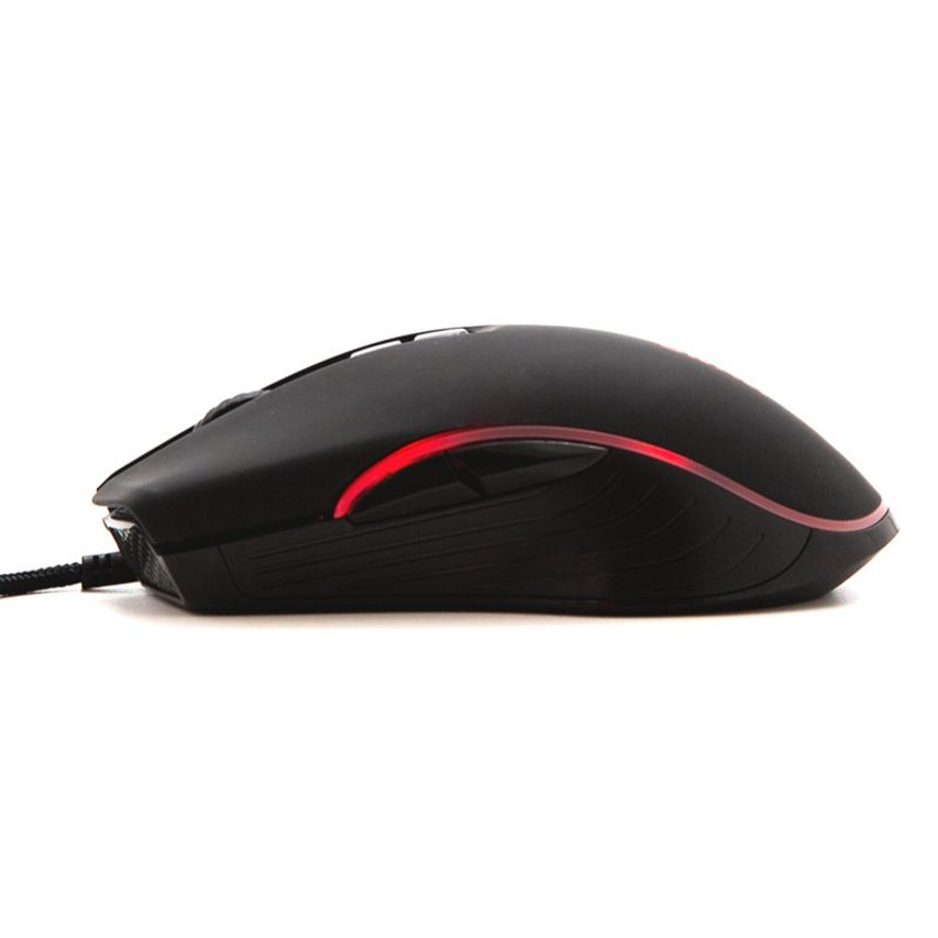 IGG317587