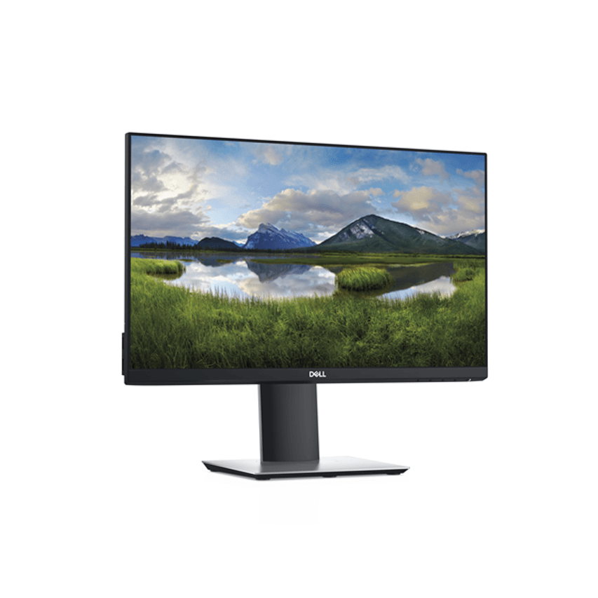 DELL-P2219H