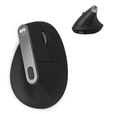 RATON SUBBLIM VERTICAL ERGO DUAL NATUREZA PRETO