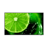 NEC E series MultiSync E558 54.6" LCD IPS 4K Ultra HD HDMI Altavoces