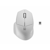 RATON NATEC SISKIN 2 COM FIO 1600 DPI BLUETOOTH 5.0 + 2.4GHZ BRANCO