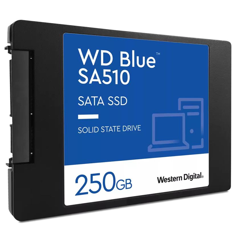 WDS250G3B0A-00AXR0