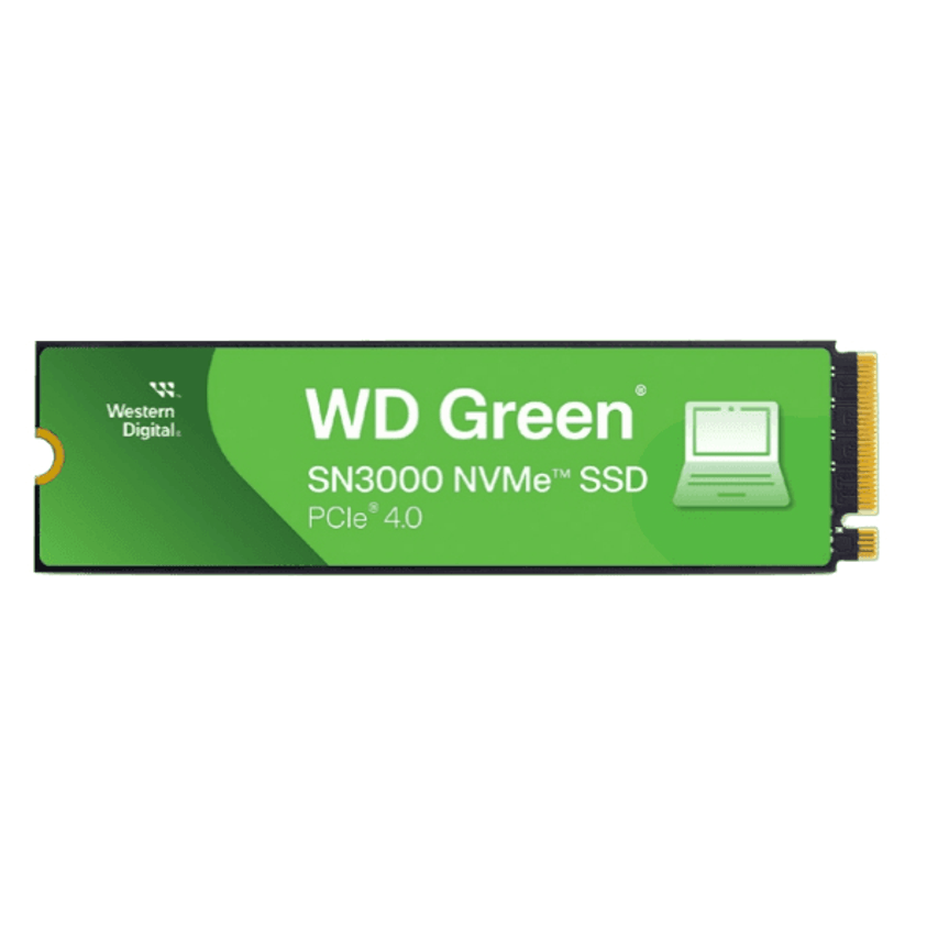WDS200T4G0E