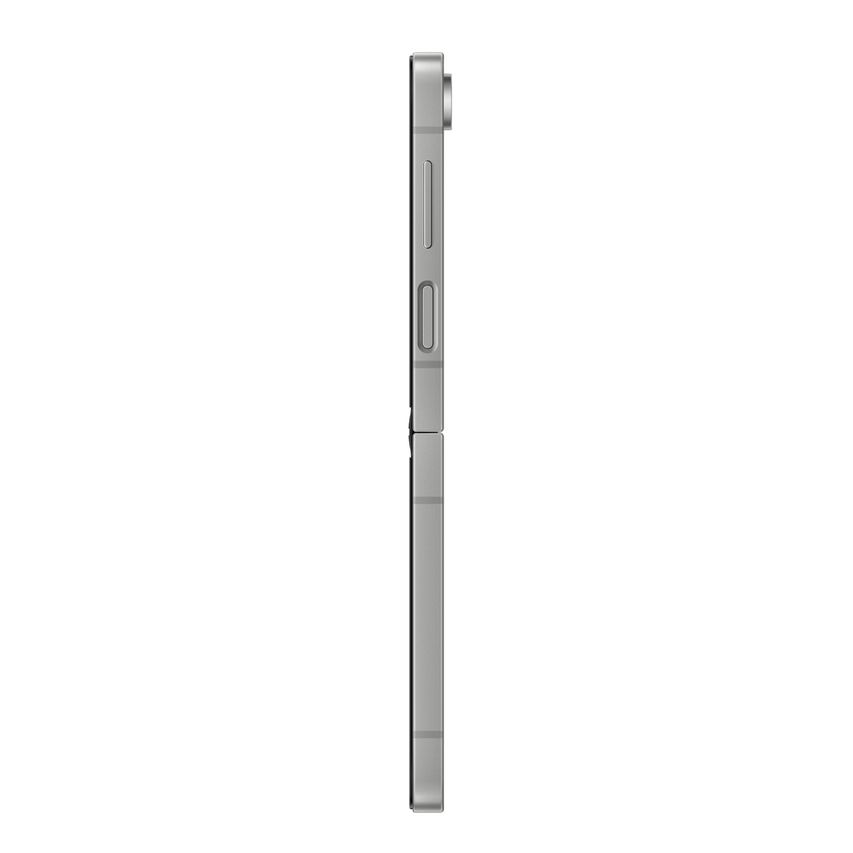 SM-F741BZSHEUB