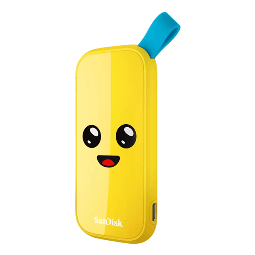 SDSSDE30-1T00-G25F