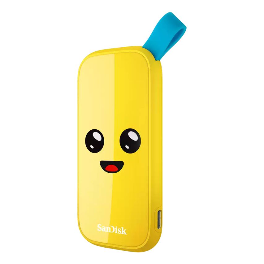 SDSSDE30-1T00-G25F