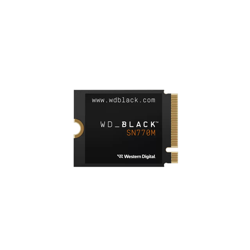 WDS500G3X0G-00CHY0