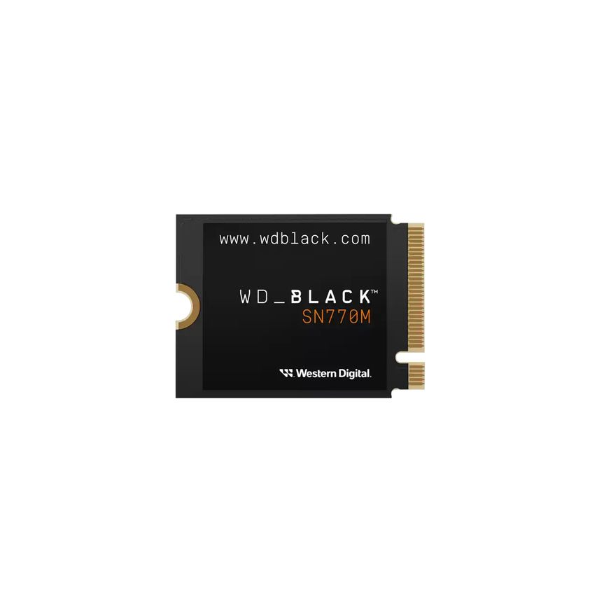 WDS500G3X0G-00CHY0