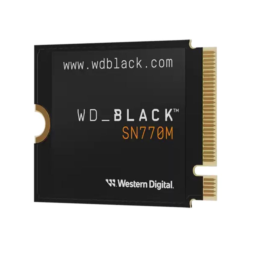 WDS500G3X0G-00CHY0