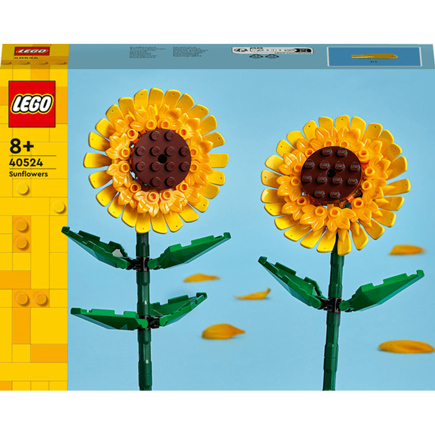 40524