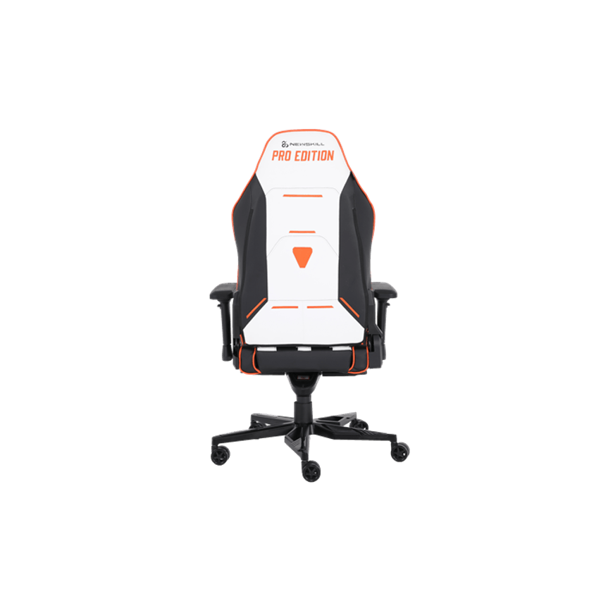 NS-CH-NEITH-PRO-PAYLOAD