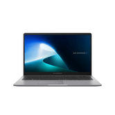 Asus P1503CVA-S70675W i7-13620H 16 GB 512 W11H 15