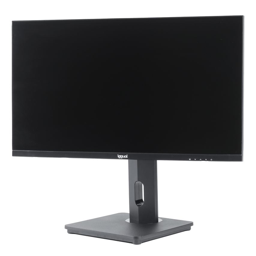 IGG319819