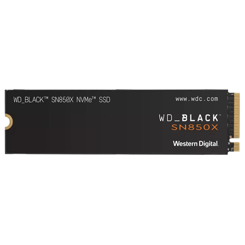 WDS100T2X0E-00BCA0