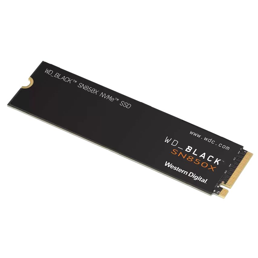 WDS100T2X0E-00BCA0