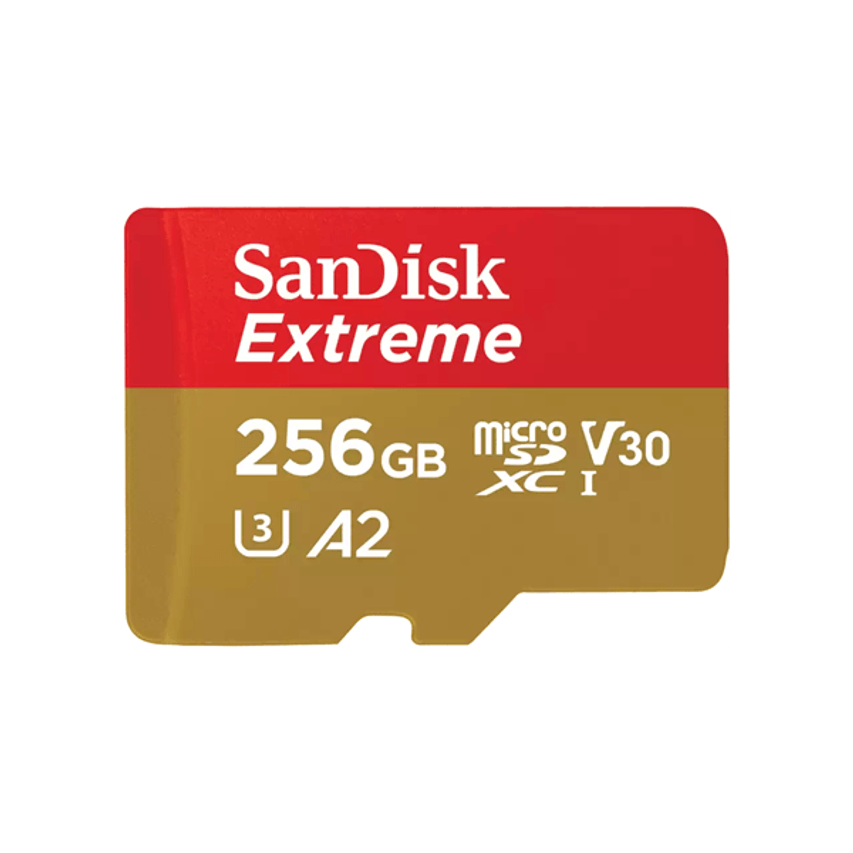 SDSQXAV-256G-GN6GN