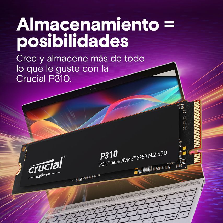 CT4000P310SSD8