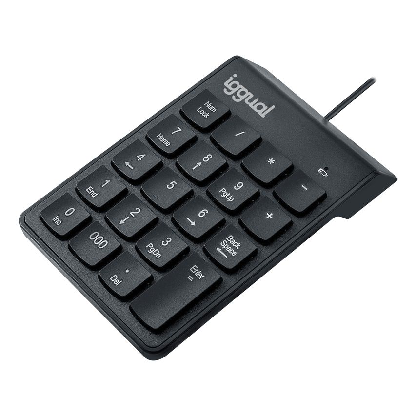 IGG319956