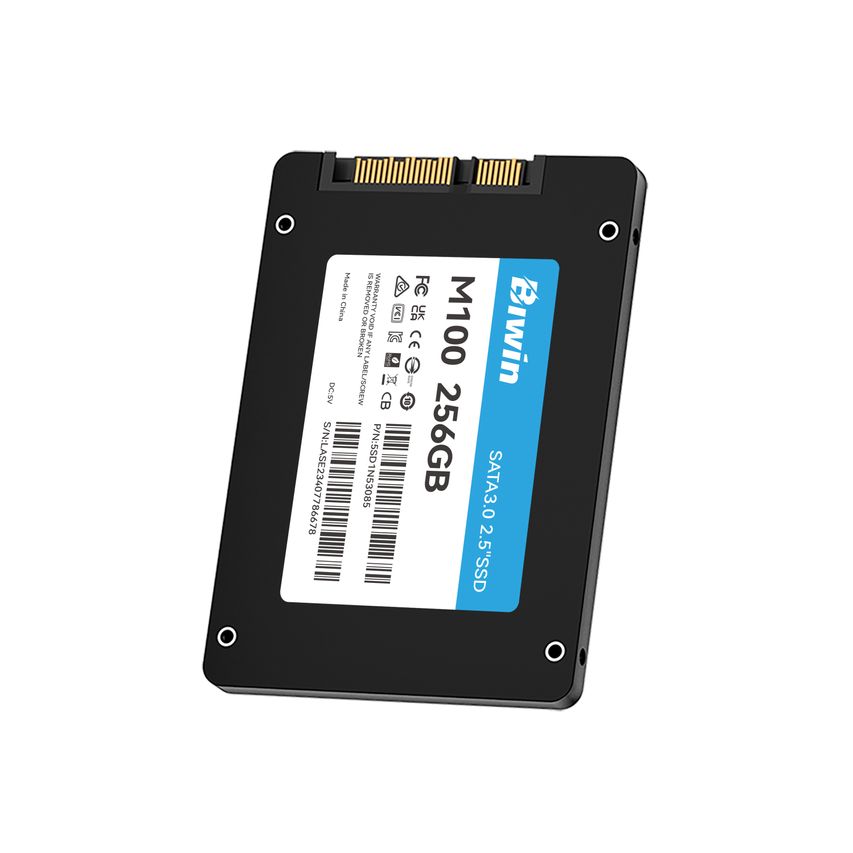 BM100NN256G-RGX