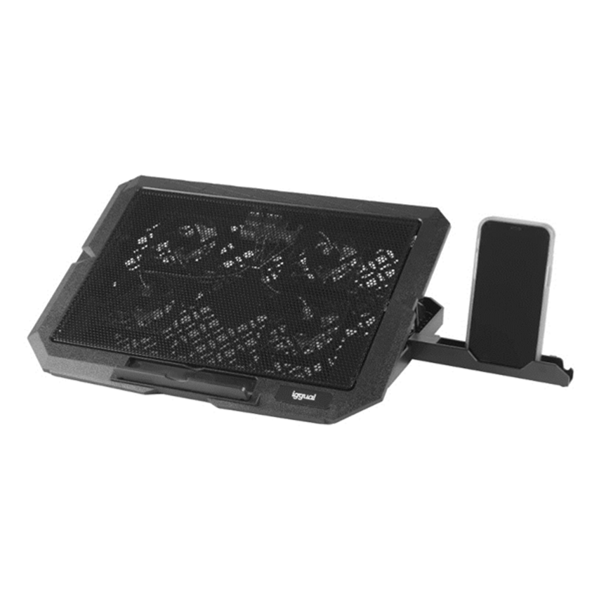 IGG319710