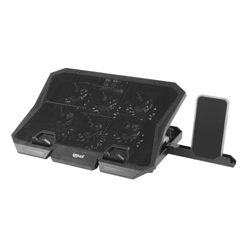 IGG319703