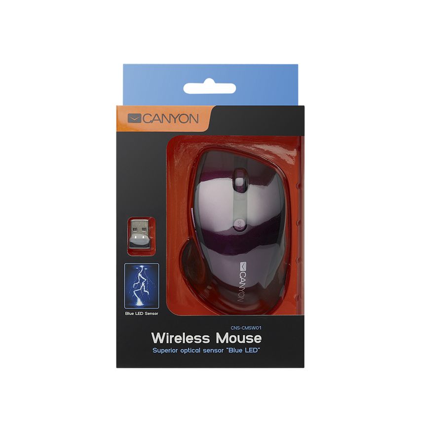 CNMSCMSW01P