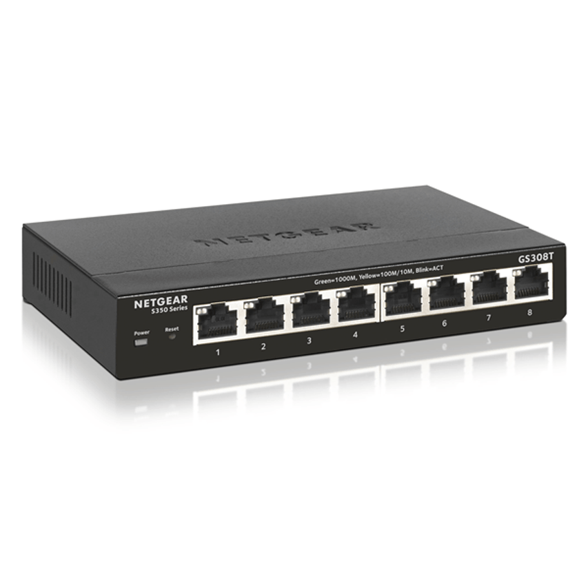 GS308T-100PES