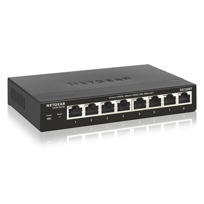 GS308T-100PES