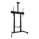 Suporte de roda Tooq FS20406HM-B Achilles 60-100