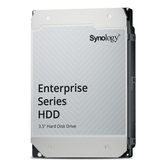 SYNOLOGY   Enterprise 20000GB 3.5" Serial ATA III
