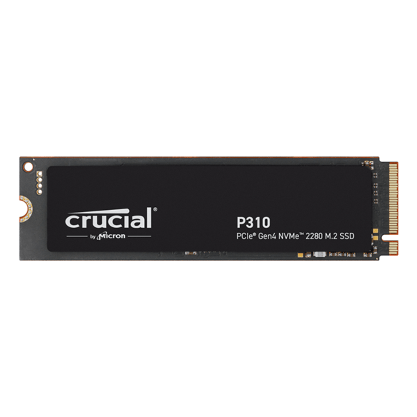 CT1000P310SSD8