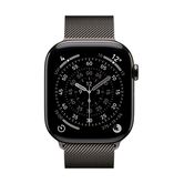46mm Slate Milanese Loop - M/L