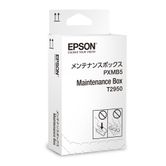 CONSUMIBLE EPSON MANTENIMIENTO WF-100W