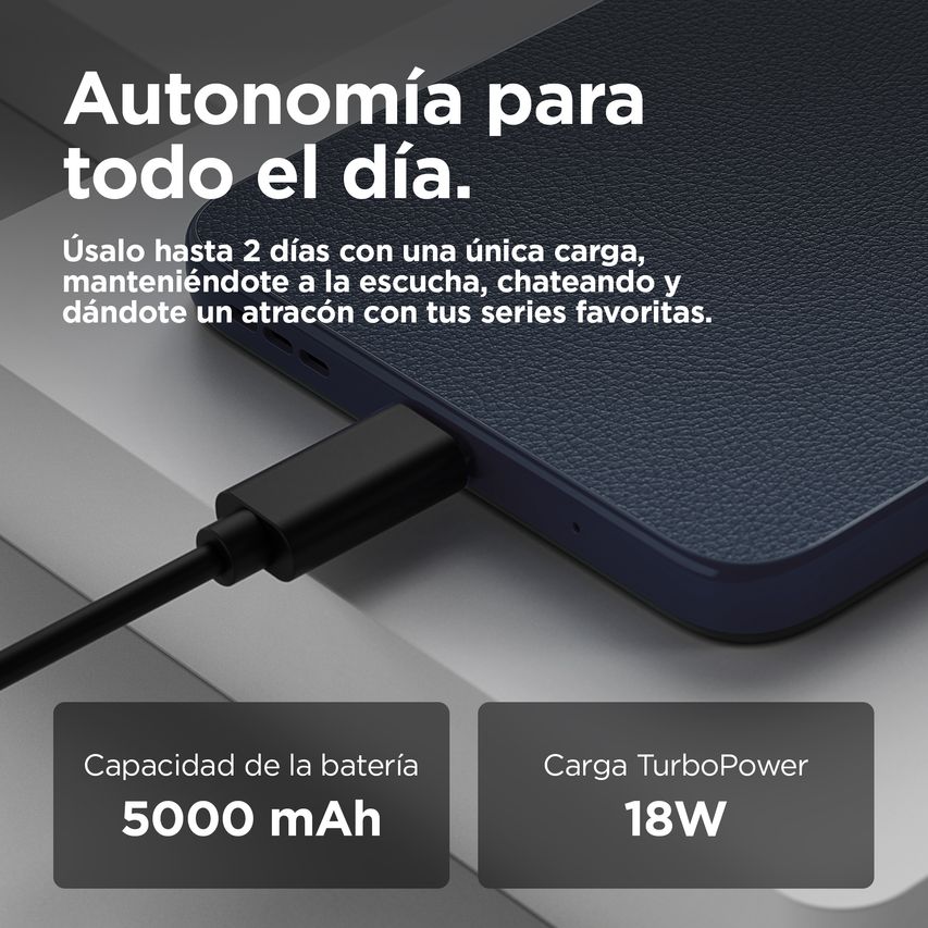 PBA10007ES