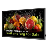 Monitor PHILIPS 5000 series 50" LCD VA Full HD HDMI Altavoces