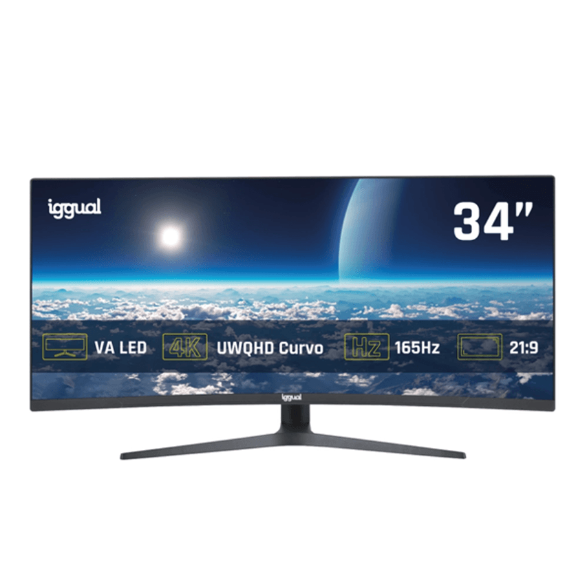 IGG319543