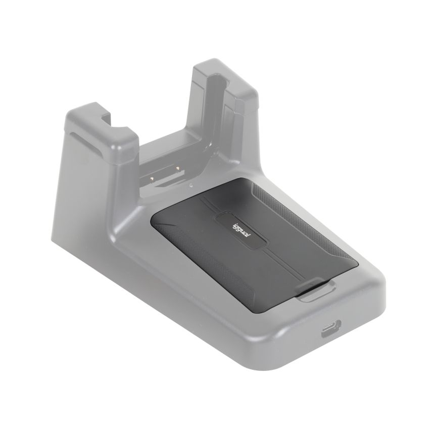 IGG320983