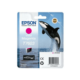 Tinteiro/T7603 Viv Magenta