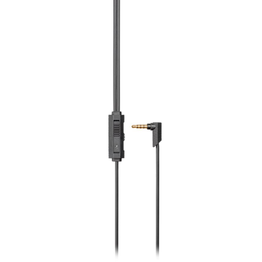 RIG300