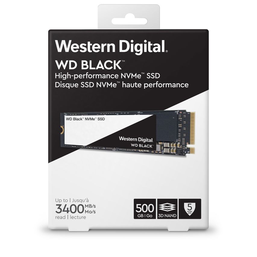 WDS500G2X0C