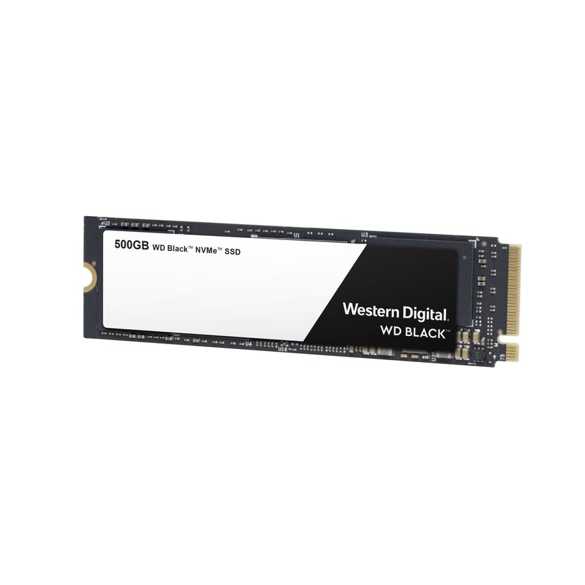 WDS500G2X0C