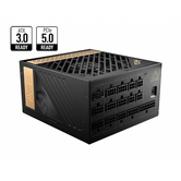 FONTE DE ALIMENTAÇÃO MSI MEG AI1300P | 1300 W | 80+ OURO | MODULAR | PCIE 5.0