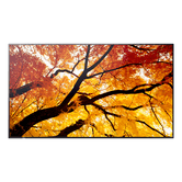 MONITOR SHARP M432  MultiSync 42.5" IPS 3840 x 2160 HDMI Altavoces