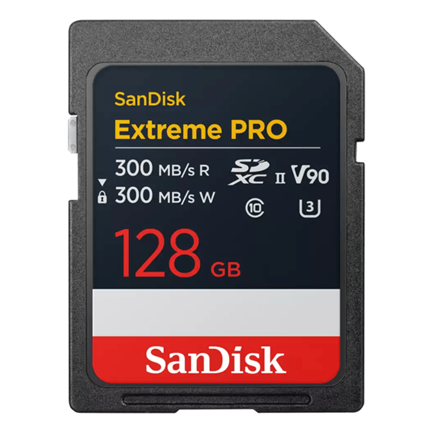 SDSDXDM-128G-GN4IN